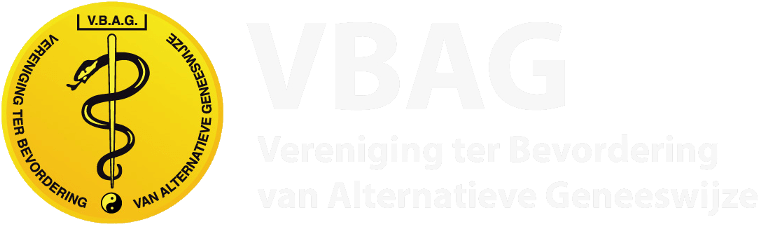 logo vbag
